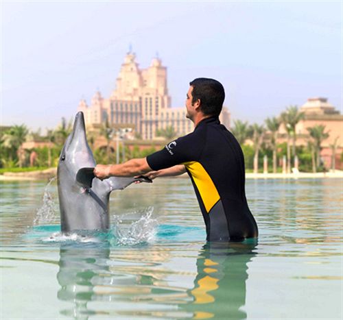 Дельфинарий Dolphin Bay